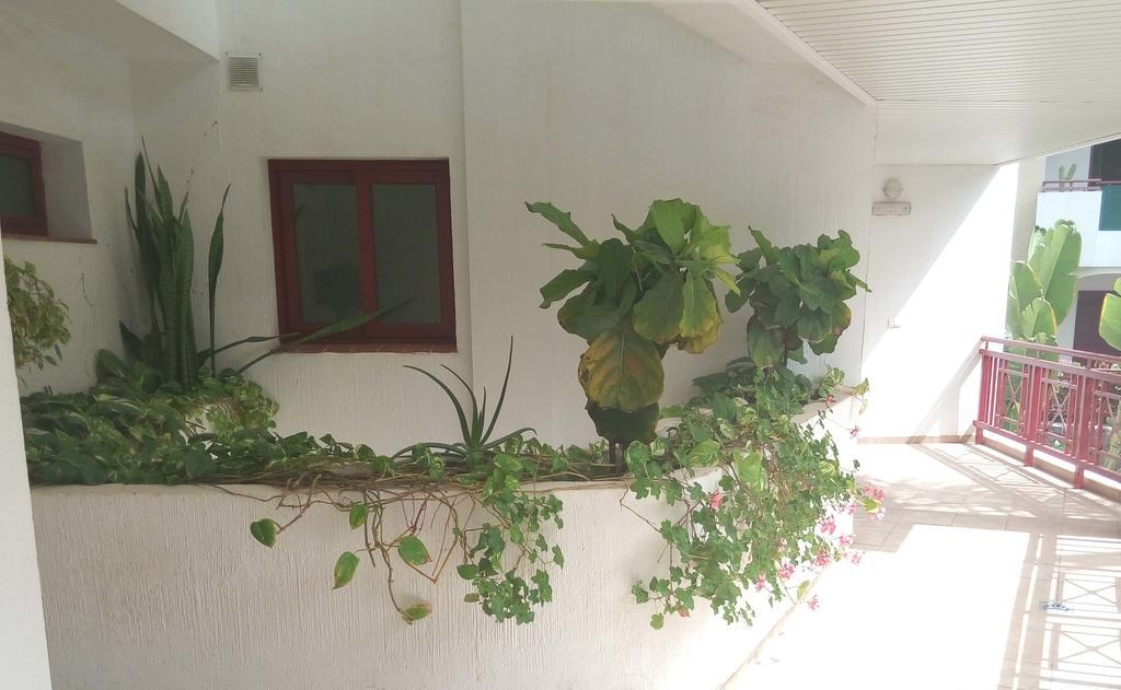 C101 Balandros Palm-mar